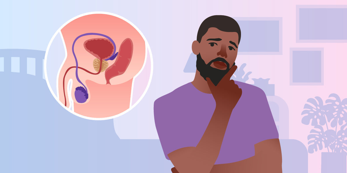 Prostata: Was du über den „männlichen G-Punkt“ wissen solltest